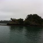 Tutukaka Leaving Tutukaka harbour