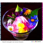 My 7yo daughter picked, arranged and photographed these flowers for me